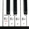 71cGayqW5L._AC_SL1500_.jpg RockJam 61 Key Keyboard Piano Stand With Pitch Bend Kit, Piano Bench, Headphones, Simply Piano App & Keynote Stickers