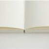 DESIGNPHIL Midori 13801006 Notebook, MD Notebook, New Book, Unruled 新書