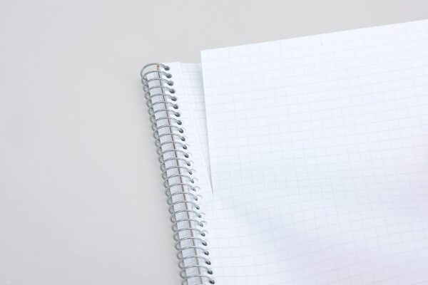 51wzPATe5FL._AC_SL1500_.jpg Maruman Spiral Note Basic Dot Grid Notebook- A4, 8.27" x 11.69", 80 Sheets / 160 Pages, 5mm Dotted Journal, Perforated Pages & Wire-Bound to Lay Flat, Sturdy Kraft Cover, Made in Japan