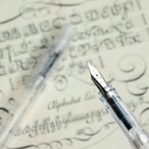 PILOT Kakuno Fountain Pen, Clear Barrel, Extra Fine Nib (10816)