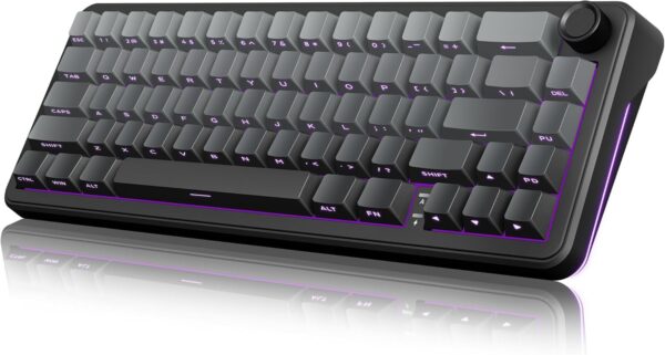 RedThunder K65 Wireless Mechanical Gaming Keyboard, Trip-Modes Connection, Gasket Custom RedThunder K65 Wireless Mechanical Gaming Keyboard, Trip-Modes Connection, Gasket Custom Hot-Swap Keyboard, RGB Backlit, Pre-lubed Linear Switches, Side Printed PBT Keycaps, Gradient Gray