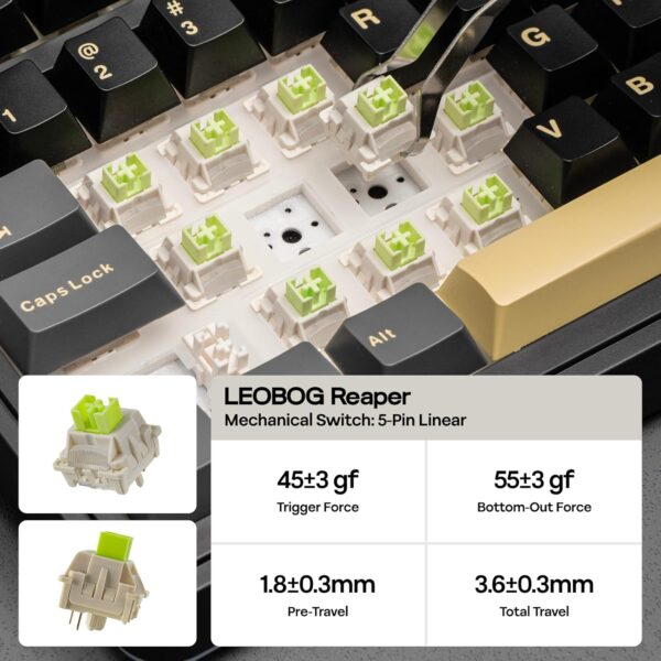 71PGDNWQQLL._AC_SL1500_.jpg EPOMAKER X Aula EA75 MAX Wireless Gaming Keyboard with Screen & Knob, 5000mAh, Hot-Swap, Lubed Switches, RGB Backlit, Creamy Gasket, 75% Mechanical Keyboard (Black, Reaper Switch)