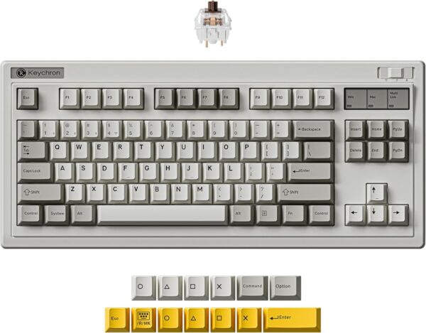 Keychron R3 Retro Wireless Mechanical Keyboard, 80% TKL Hot Swappable RGB Tactile Super Brown Switch, QMK Tri-Mode(2.4 GHz/Bluetooth/Wired), Compatible with Mac PC Linux