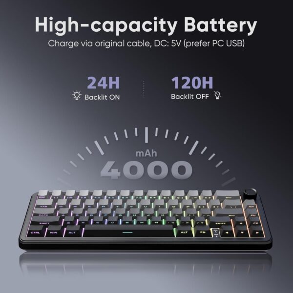 71kLsUyryL._AC_SL1500_.jpg RedThunder K65 Wireless Mechanical Gaming Keyboard, Trip-Modes Connection, Gasket Custom Hot-Swap Keyboard, RGB Backlit, Pre-lubed Linear Switches, Side Printed PBT Keycaps, Gradient Gray