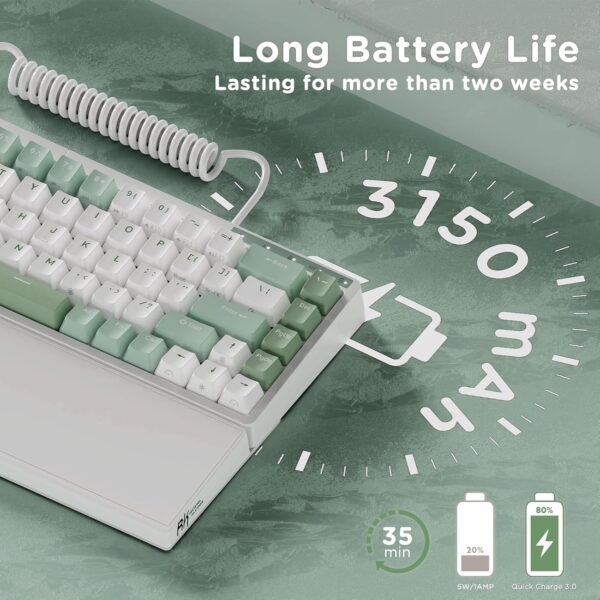 RK ROYAL KLUDGE RKS70 Ergonomic Split Keyboard, Wireless Bluetooth/2.4G/Wired Mechanical Keyboard with Wrist Rest, 75% RGB PC Gaming Keyboards for Win/Mac, Hot Swappable Linear Silver Switches, White