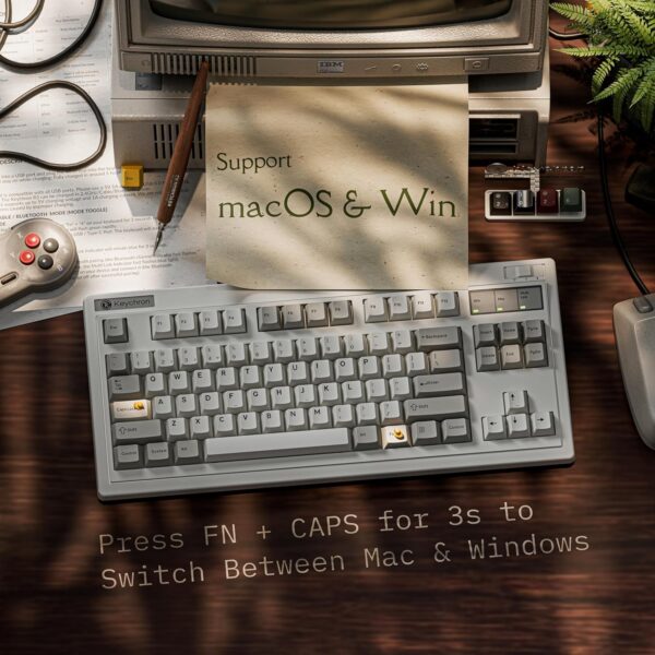 Keychron R3 Retro Wireless Mechanical Keyboard, 80% TKL Hot Swappable RGB Linear Super Red Switch, QMK Tri-Mode(2.4 GHz/Bluetooth/Wired), Compatible with Mac PC Linux